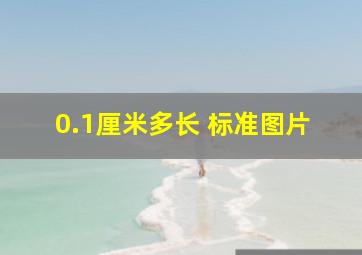 0.1厘米多长 标准图片